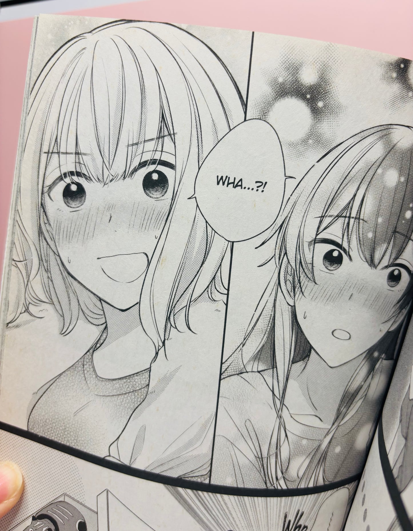 I Married My Female Friend Volume 1, Manga books