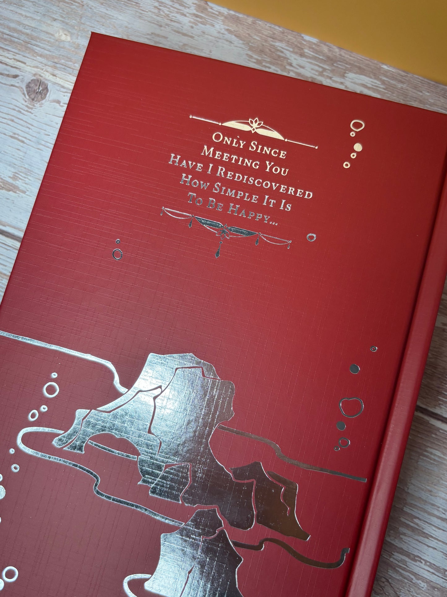 Heaven Official's Blessing Novel Vol. 4 - Special Edition Hardcover