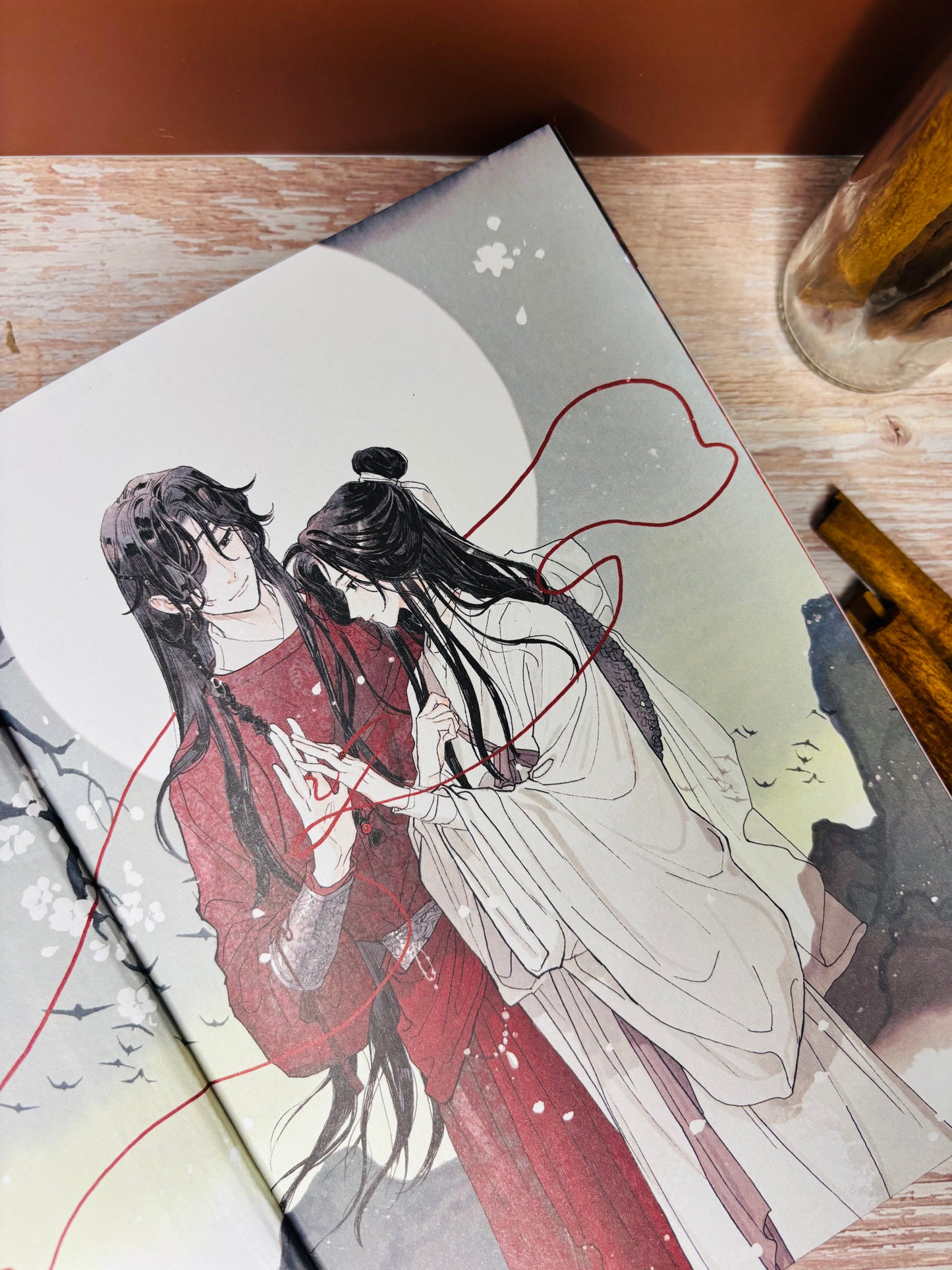 Heaven Official's Blessing Novel Vol. 6 - Special Edition Hardcover