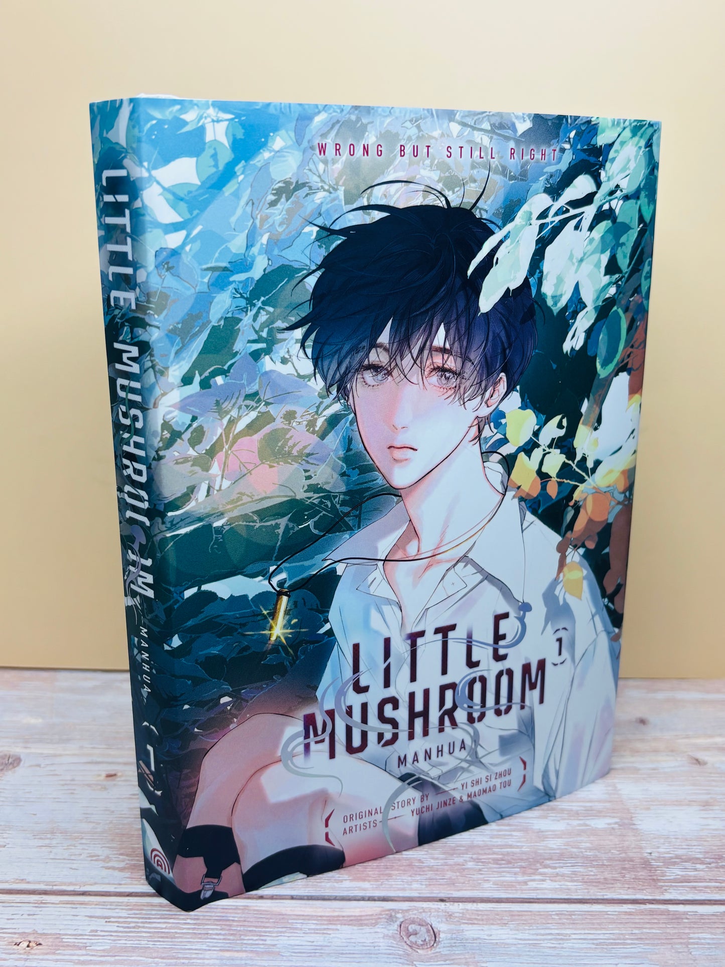 Little Mushroom, Manhua Vol 1