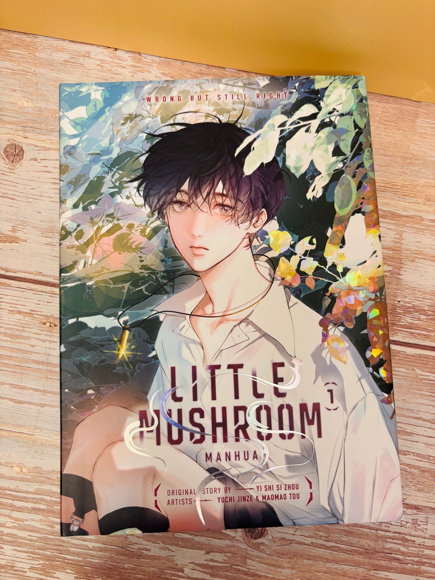 Little Mushroom, Manhua Vol 1